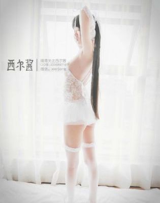 成本人动画片在线观看_剧情片在线播放观看