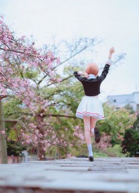官家天下小说免费阅读全文_DVD高清视频播放